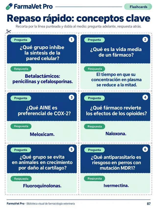 Página de flashcards de repaso